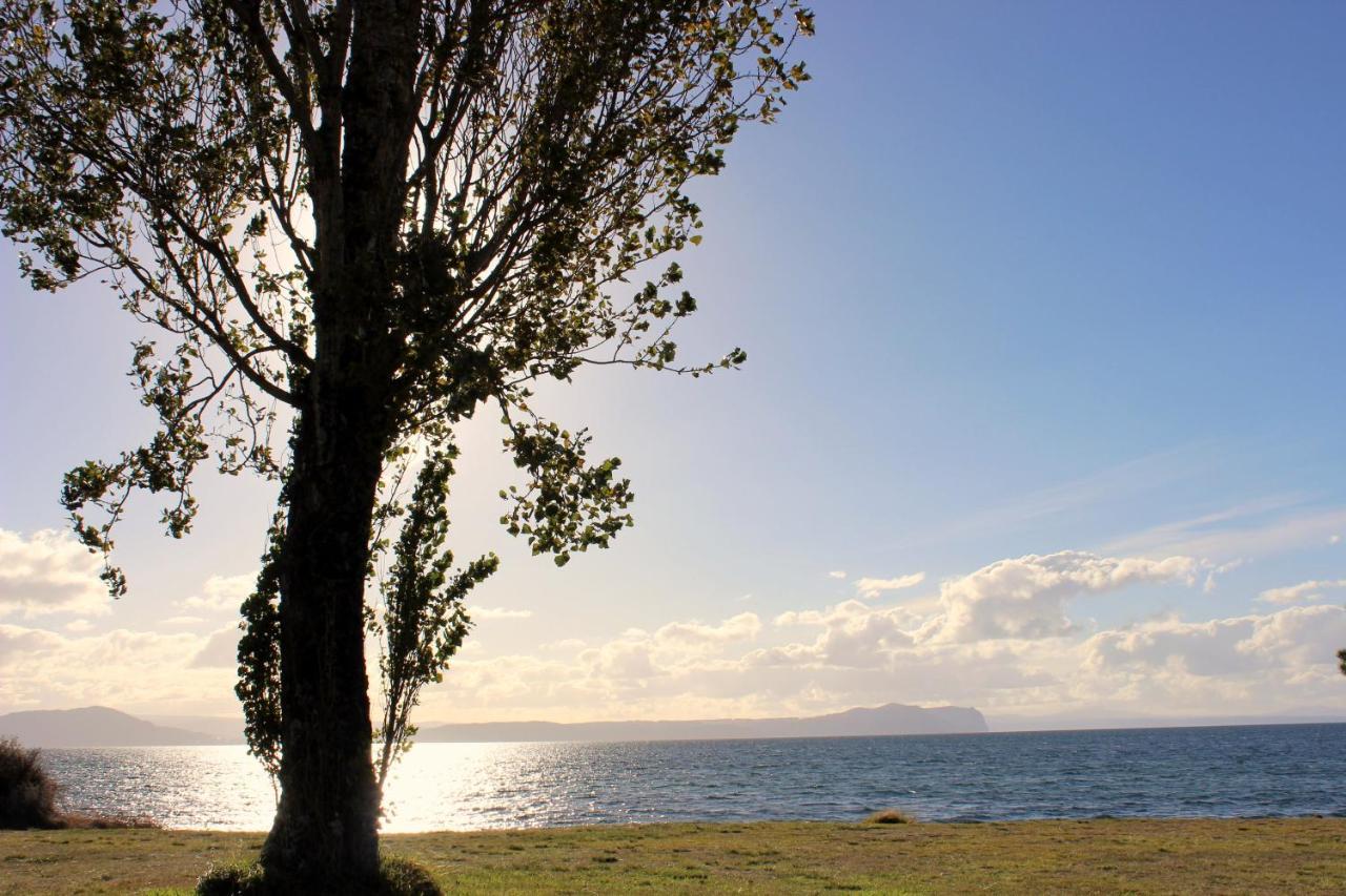 Bram'S Bach Villa Lago Lago Taupo Esterno foto